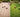 Synthetic Turf vs. Oyster Shell Bocce Courts: Which Surface Is Actually Better?